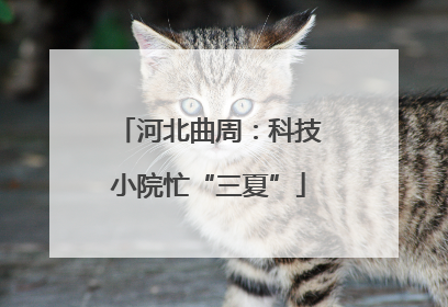 河北曲周：科技小院忙“三夏”