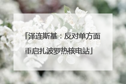 泽连斯基：反对单方面重启扎波罗热核电站
