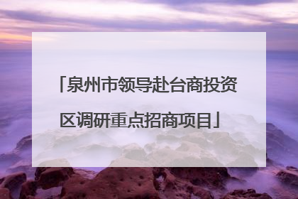 泉州市领导赴台商投资区调研重点招商项目