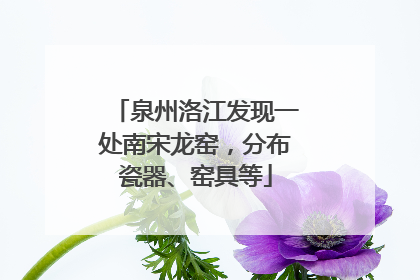 泉州洛江发现一处南宋龙窑，分布瓷器、窑具等