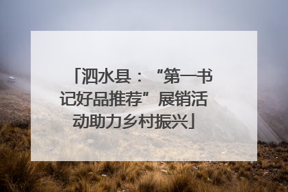 泗水县：“第一书记好品推荐”展销活动助力乡村振兴