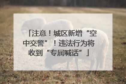 注意！城区新增“空中交警”！违法行为将收到“专属喊话”