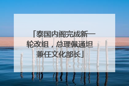 泰国内阁完成新一轮改组，总理佩通坦兼任文化部长