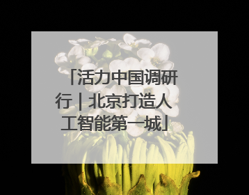活力中国调研行｜北京打造人工智能第一城