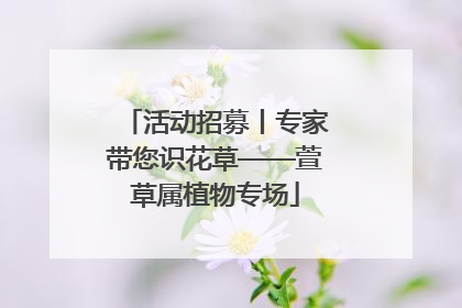 活动招募丨专家带您识花草——萱草属植物专场