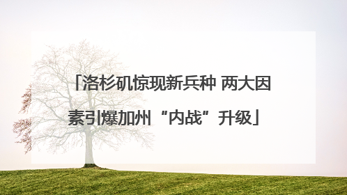 洛杉矶惊现新兵种 两大因素引爆加州“内战”升级