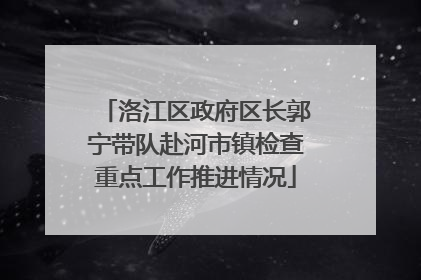 洛江区政府区长郭宁带队赴河市镇检查重点工作推进情况