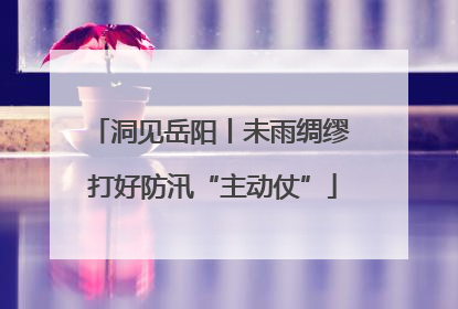 洞见岳阳丨未雨绸缪 打好防汛“主动仗”