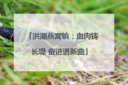 洪湖燕窝镇：血肉铸长堤 奋进谱新曲