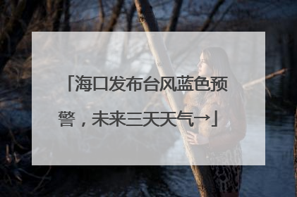 海口发布台风蓝色预警，未来三天天气→