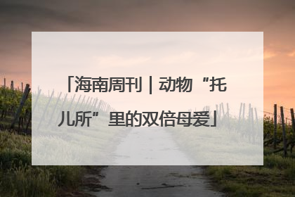 海南周刊｜动物“托儿所”里的双倍母爱