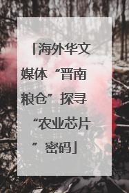 海外华文媒体“晋南粮仓”探寻“农业芯片”密码