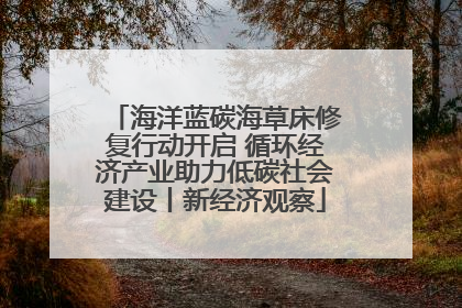 海洋蓝碳海草床修复行动开启 循环经济产业助力低碳社会建设丨新经济观察