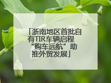 浙南地区首批自有TIR车辆启程 “购车远航”助推外贸发展