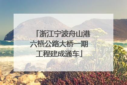 浙江宁波舟山港六横公路大桥一期工程建成通车