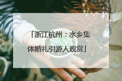 浙江杭州：水乡集体婚礼引游人观赏