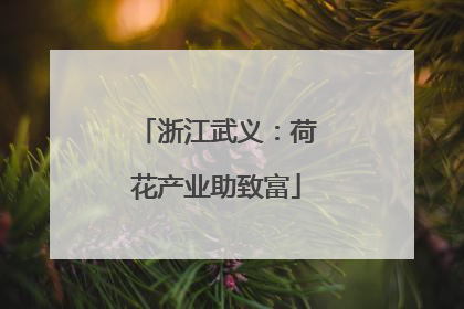浙江武义：荷花产业助致富