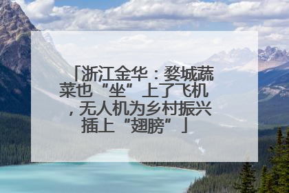 浙江金华：婺城蔬菜也“坐”上了飞机，无人机为乡村振兴插上“翅膀”