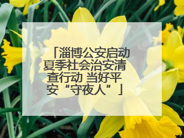 淄博公安启动夏季社会治安清查行动 当好平安“守夜人”