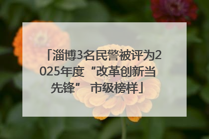 淄博3名民警被评为2025年度“改革创新当先锋” 市级榜样