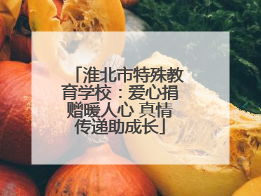 淮北市特殊教育学校：爱心捐赠暖人心 真情传递助成长