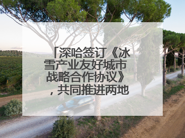 深哈签订《冰雪产业友好城市战略合作协议》，共同推进两地冰雪体育文化旅游高质量发展