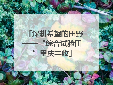 深耕希望的田野——“综合试验田”里庆丰收