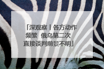 深观察丨各方动作频繁  俄乌第二次直接谈判前景不明