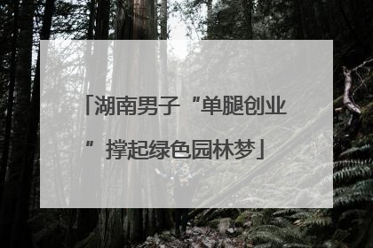 湖南男子“单腿创业”撑起绿色园林梦