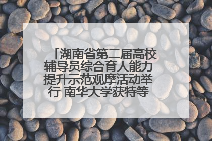 湖南省第二届高校辅导员综合育人能力提升示范观摩活动举行 南华大学获特等奖和一等奖