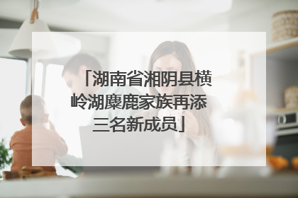 湖南省湘阴县横岭湖麋鹿家族再添三名新成员