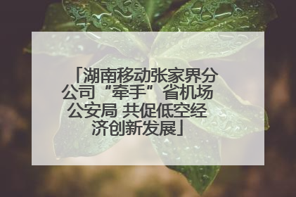 湖南移动张家界分公司“牵手”省机场公安局 共促低空经济创新发展