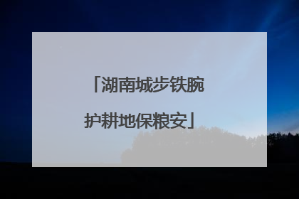 湖南城步铁腕护耕地保粮安