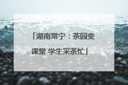 湖南常宁：茶园变课堂 学生采茶忙