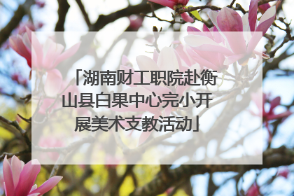 湖南财工职院赴衡山县白果中心完小开展美术支教活动