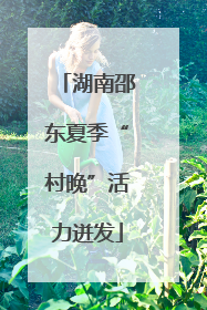 湖南邵东夏季“村晚”活力迸发