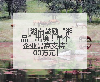 湖南鼓励“湘品”出境！单个企业最高支持100万元