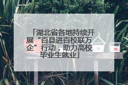 湖北省各地持续开展“百县进百校联万企”行动，助力高校毕业生就业