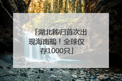 湖北秭归首次出现海南鳽！全球仅存1000只