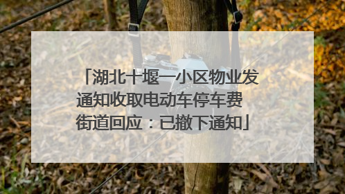 湖北十堰一小区物业发通知收取电动车停车费 街道回应：已撤下通知