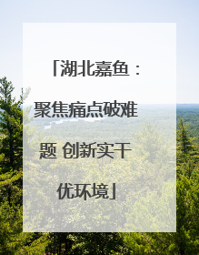 湖北嘉鱼：聚焦痛点破难题 创新实干优环境