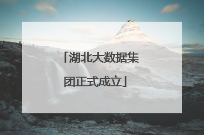 湖北大数据集团正式成立