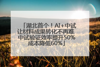 湖北首个！AI+中试让材料成果转化不再难 中试验证效率提升50%成本降低60%