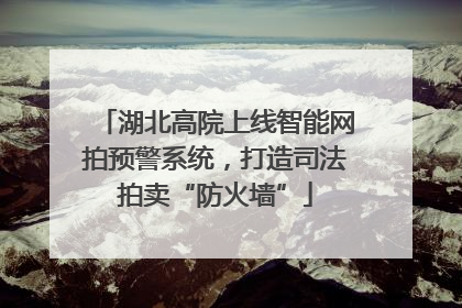 湖北高院上线智能网拍预警系统，打造司法拍卖“防火墙”