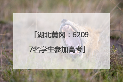 湖北黄冈：62097名学生参加高考