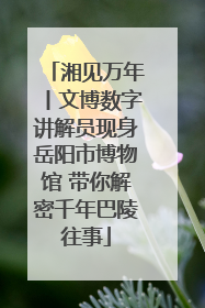 湘见万年丨文博数字讲解员现身岳阳市博物馆 带你解密千年巴陵往事