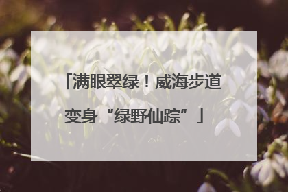 满眼翠绿！威海步道变身“绿野仙踪”