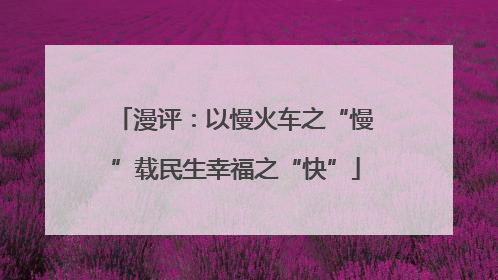 漫评：以慢火车之“慢”载民生幸福之“快”