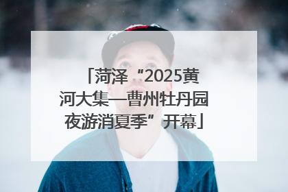菏泽“2025黄河大集—曹州牡丹园夜游消夏季”开幕