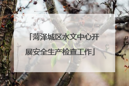 菏泽城区水文中心开展安全生产检查工作